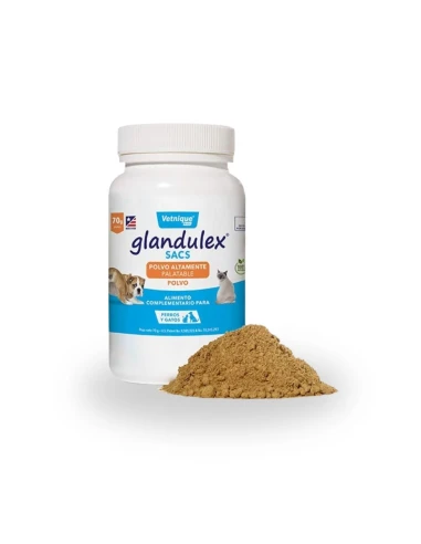 Suplemento digestivo Glandulex Sacs JT PHARMA 70gr